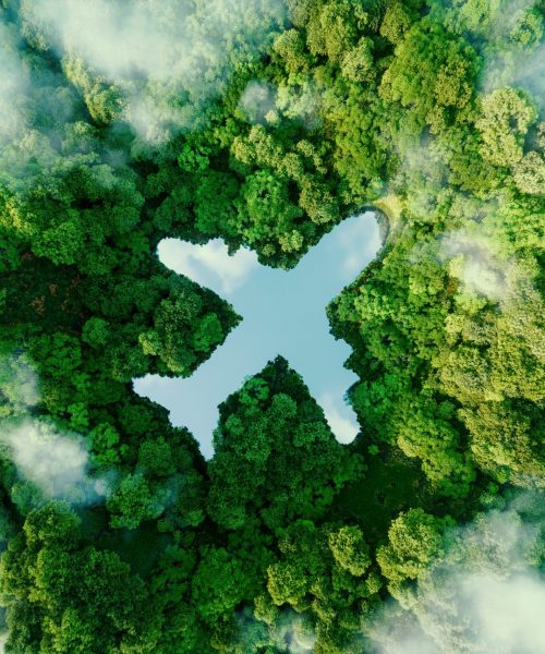 A lake in the shape of an airplane in the middle of untouched nature - a concept illustrating the ecology of air transport, travel and ecotourism. 3d rendering.